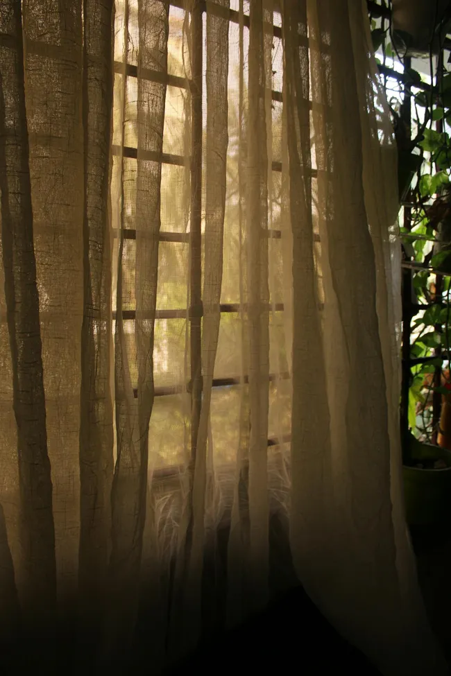 Gardinen vs Rollos — Fensterdekoration im Wohnzimmer