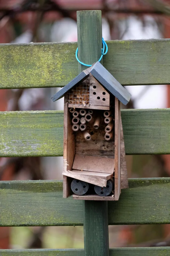 Hat ein Insektenhotel wirklich Sinn?