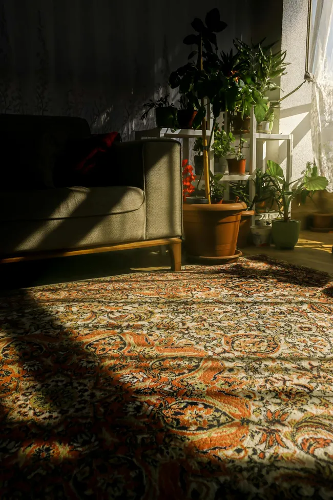 Hochflor vs Niederflor — Komfort und Pflege