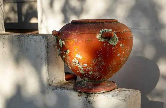 Terrakotta pflegen — drinnen und draußen