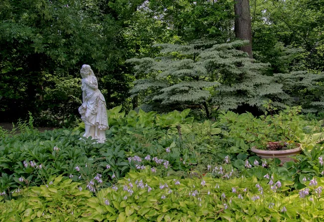 Welche Pflanzen gedeihen in einer Schattenecke?