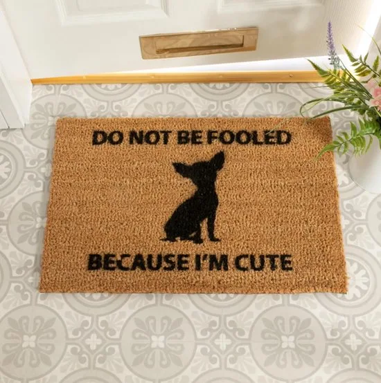MadDeco Kokosmatte Chihuahua Do Not Be Fooled Because I'm Cute 60x40 cm